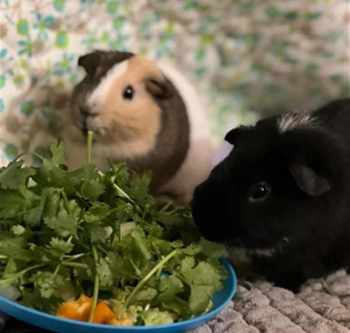 Photo of &CRACKER