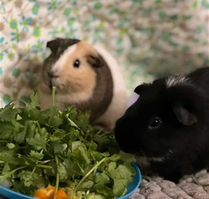 Photo of &CHEESE