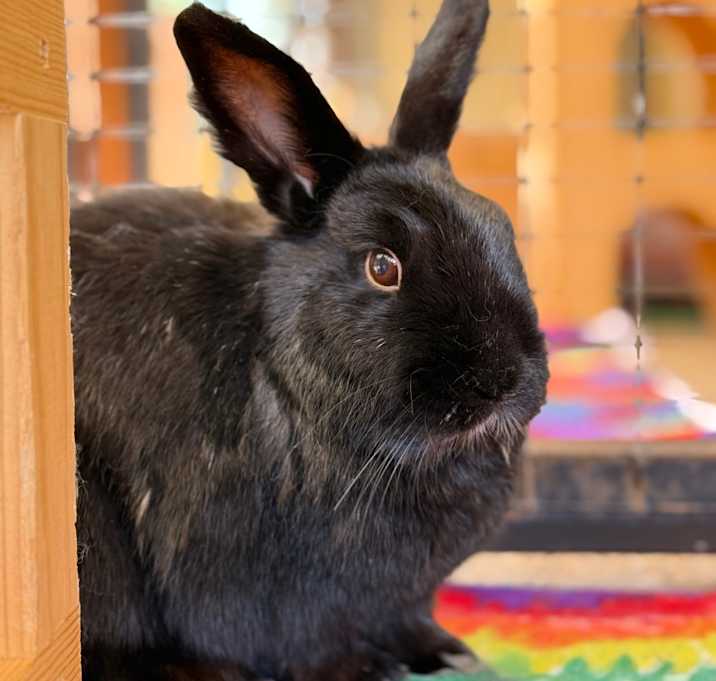 Photo of Sebastian