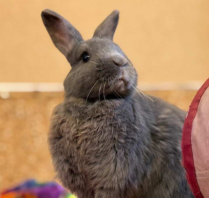 Photo of Sterling