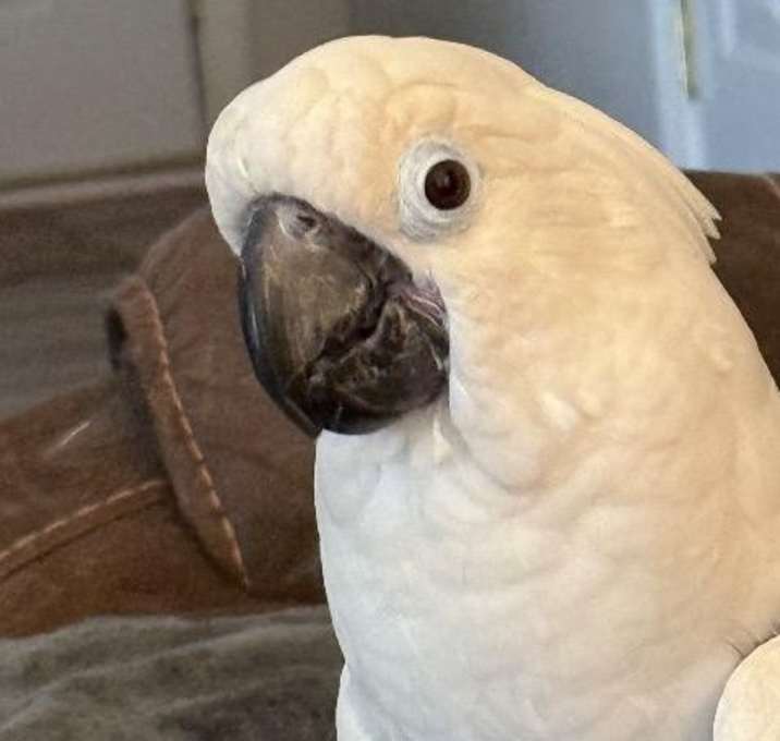 Photo of Cynthia