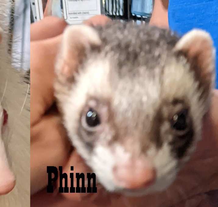 Photo of Poppy & Phinn