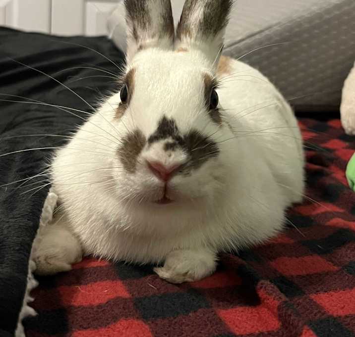 Photo of Marjorie
