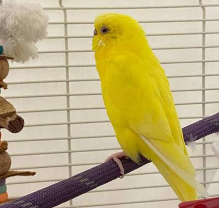 Photo of Pretty Girl