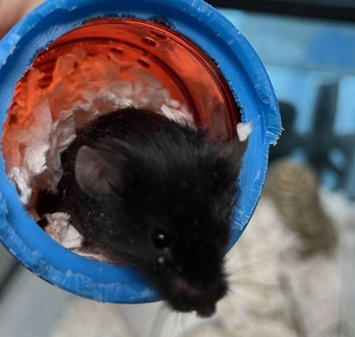 Photo of Jimmy Jr.