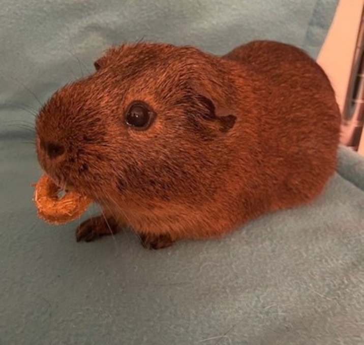 Photo of Bentley