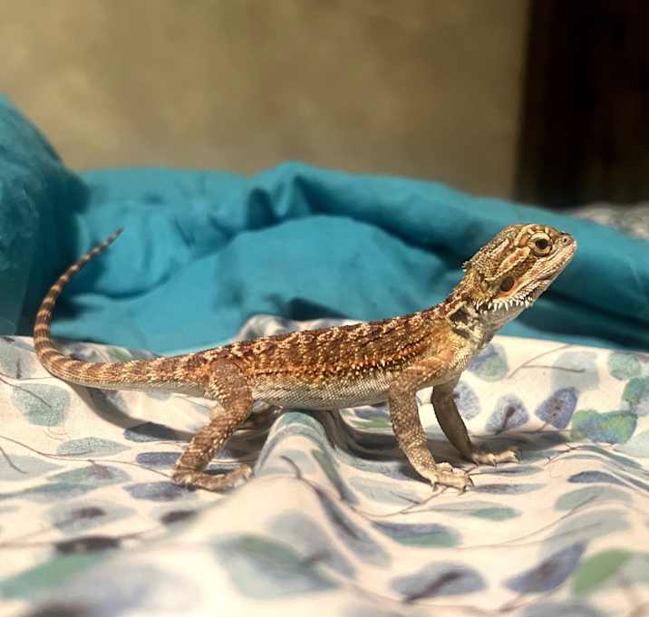 Photo of Zara