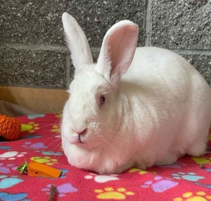Photo of Miss Bea