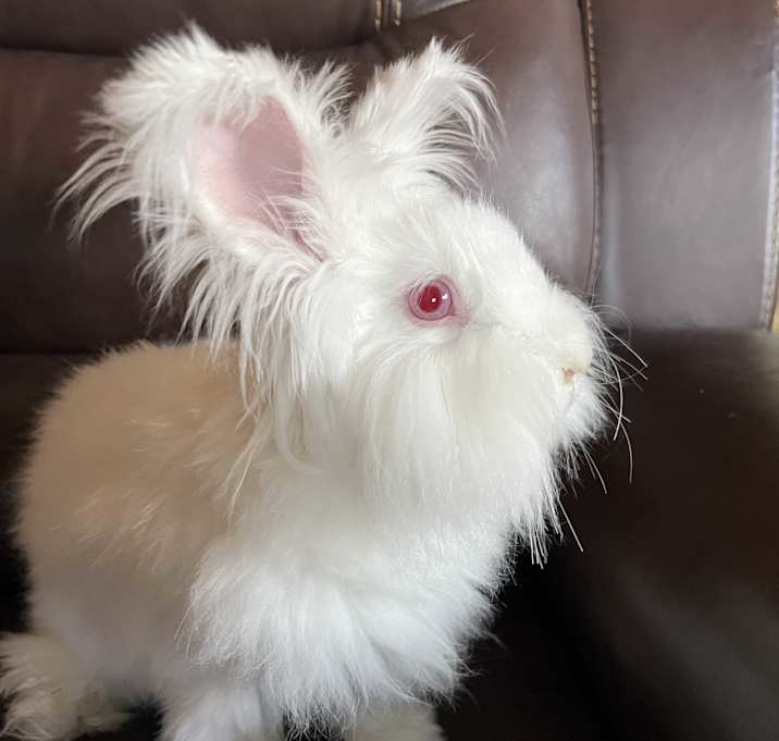 Photo of Shaggy