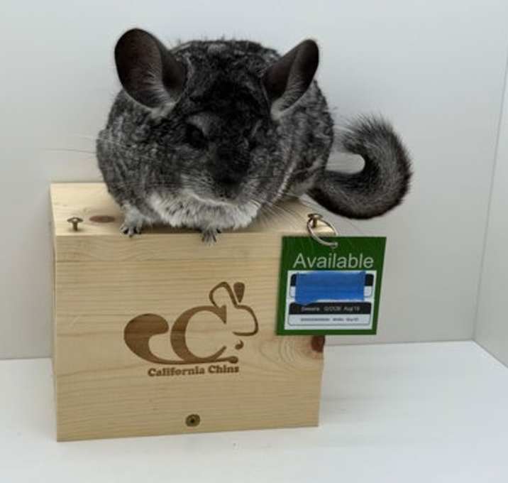 Photo of Sweetie