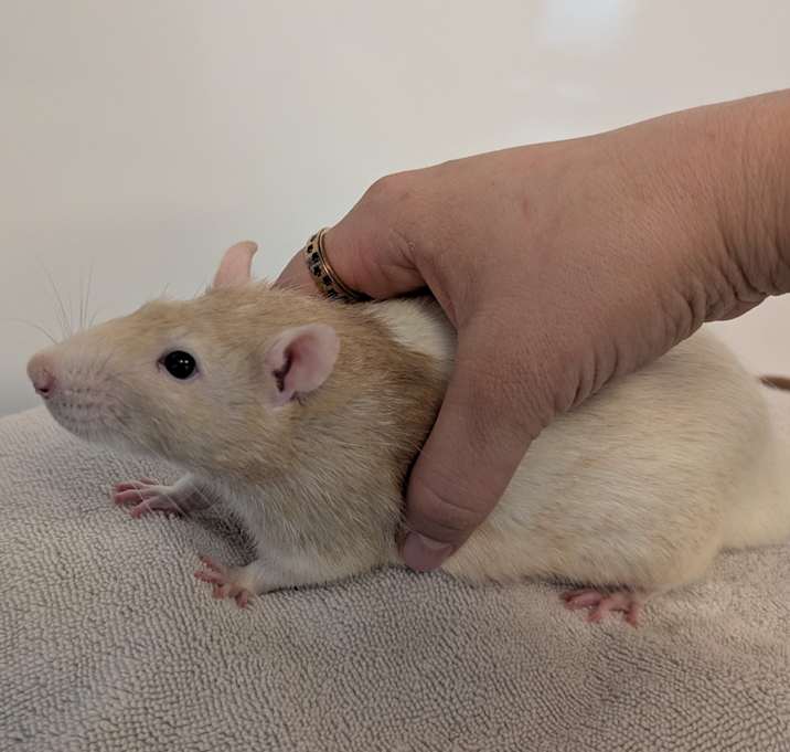 Photo of ERIC