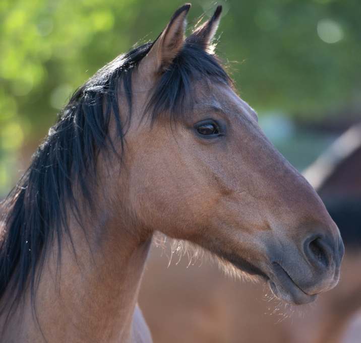 Photo of Ajax