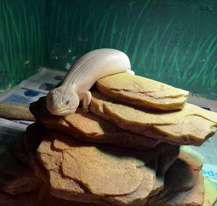 Photo of little bit
