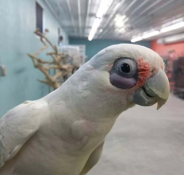 Photo of Star