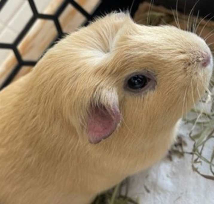 Photo of Sandy