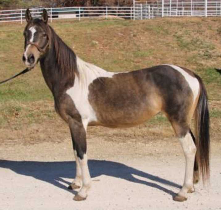 Photo of JUBILEE