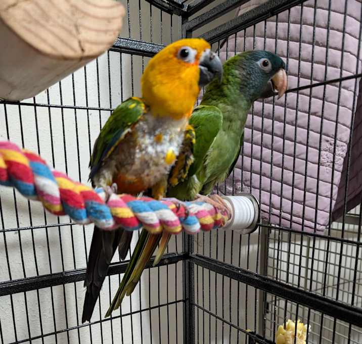 Photo of Henry & Norbert