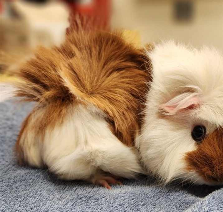 Photo of LUCKY