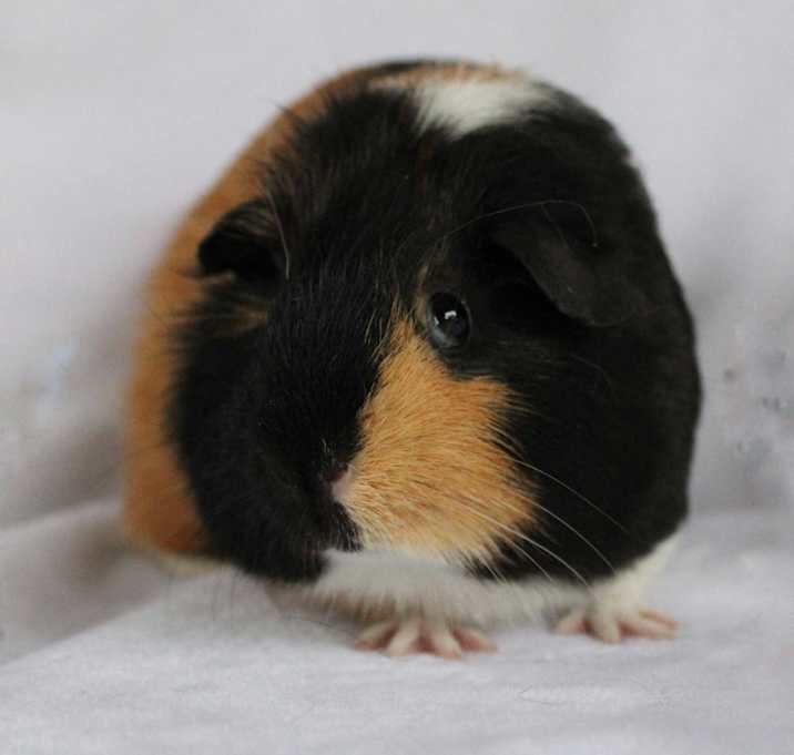 Photo of Loretta