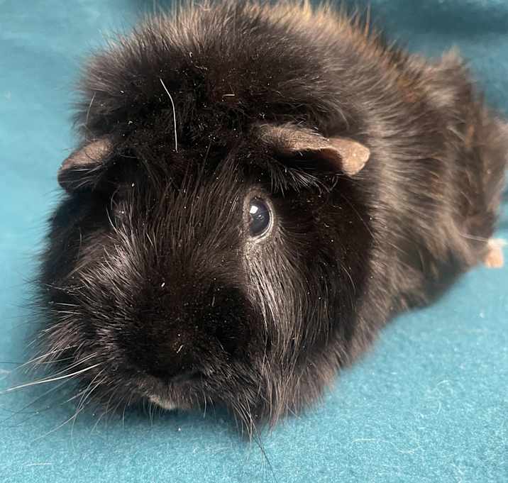 Photo of Nora