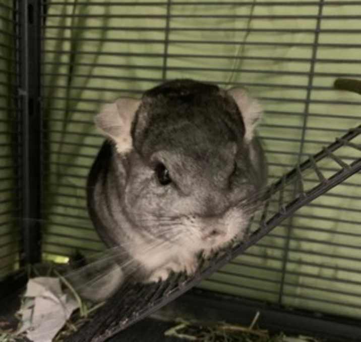 Photo of Mr. Mundy