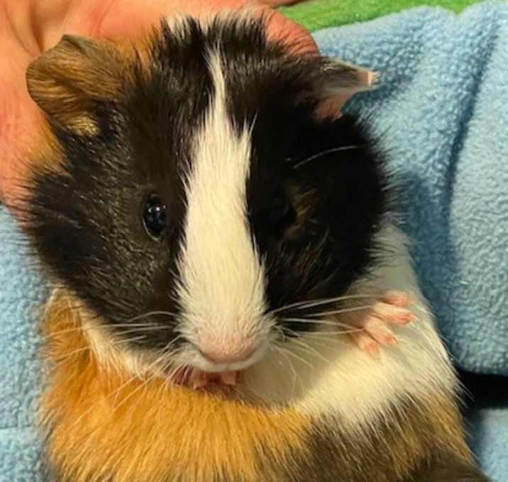 Photo of Barbara