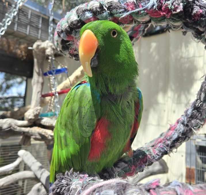 Photo of Elliot
