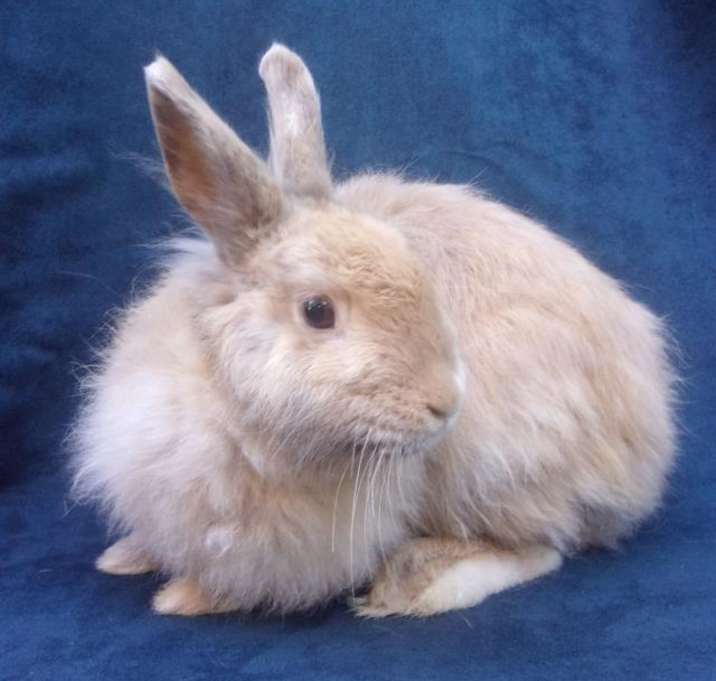 Photo of AUDREY HEPBUN