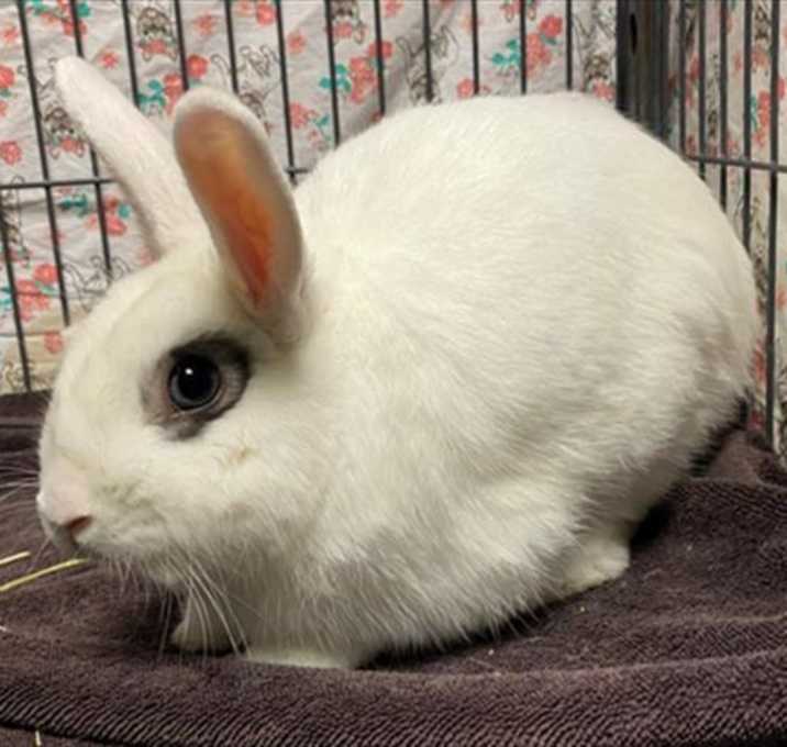 Photo of TATER TOT