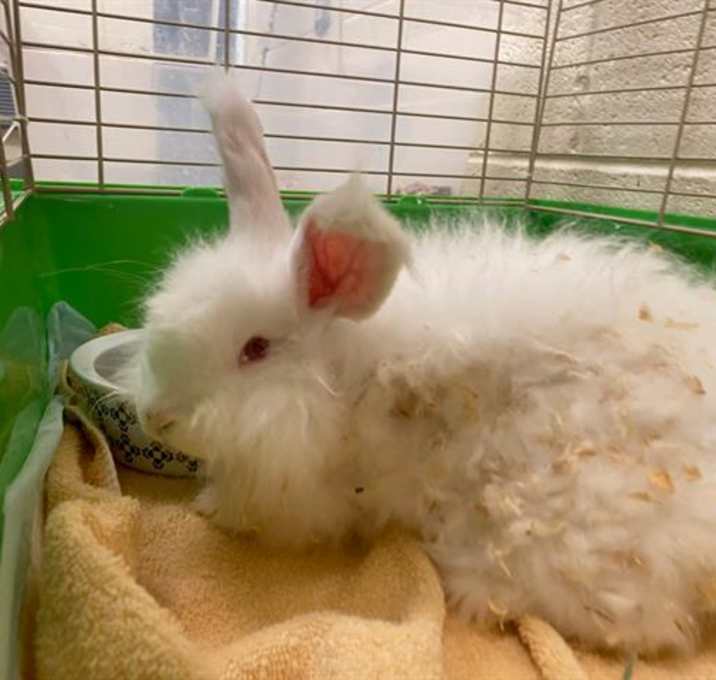 Photo of TAFFY
