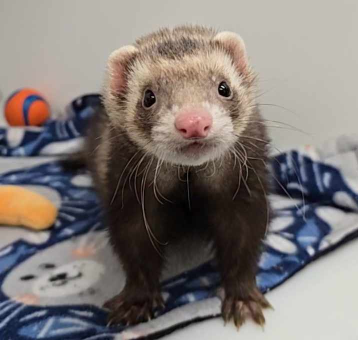 Photo of Eli