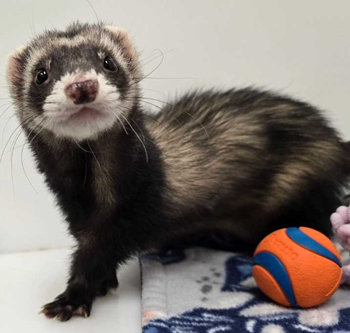 Photo of Kenai