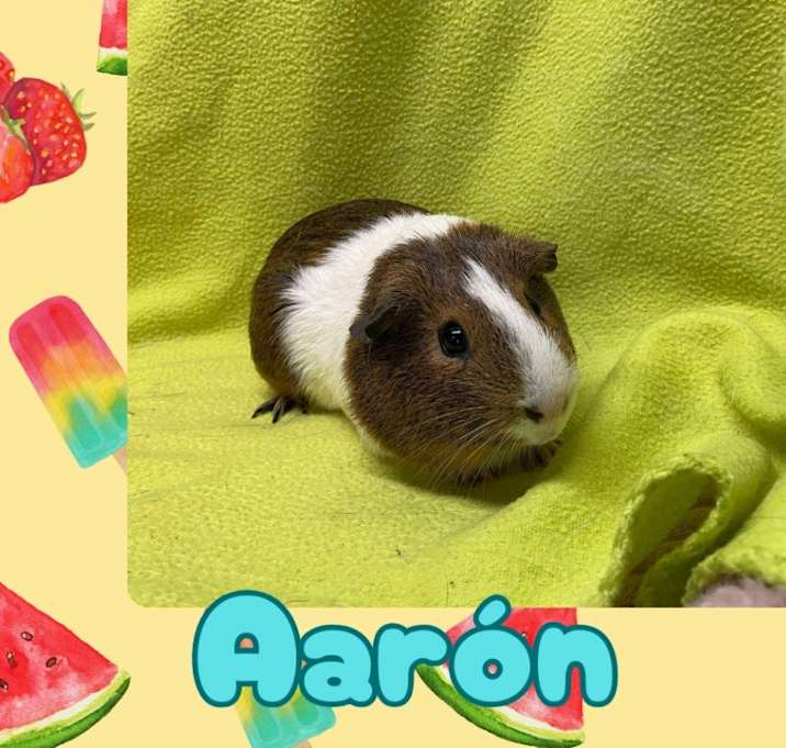 Photo of Aarón
