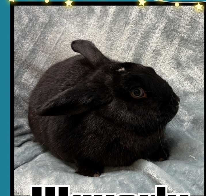 Photo of Waverly