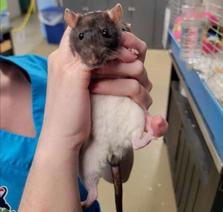 Photo of Bloppypants