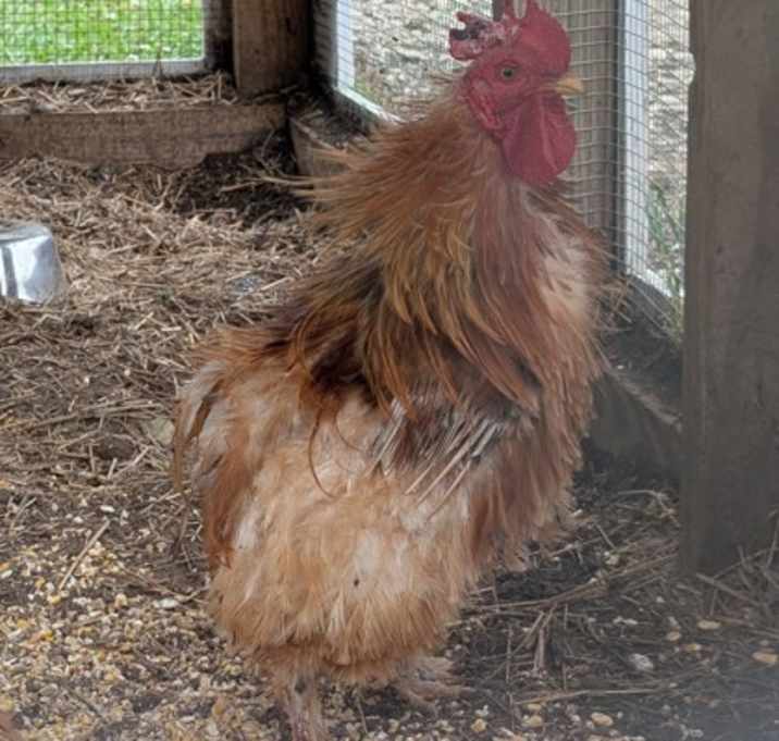 Photo of Alarm Clock