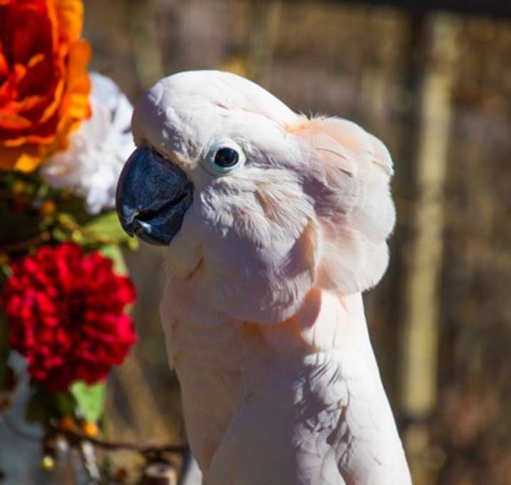 Photo of Merlyn