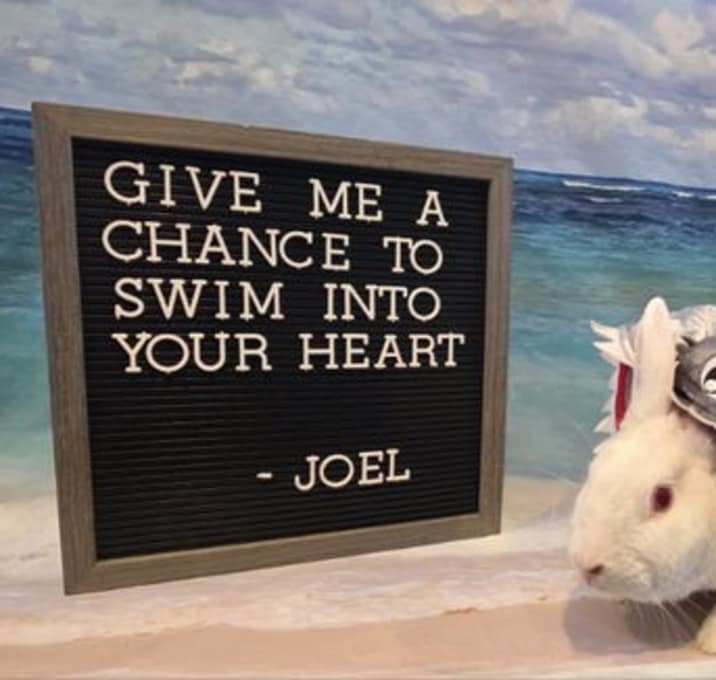 Photo of Joel
