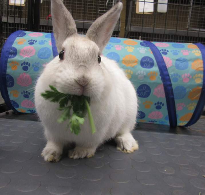 Photo of Libby
