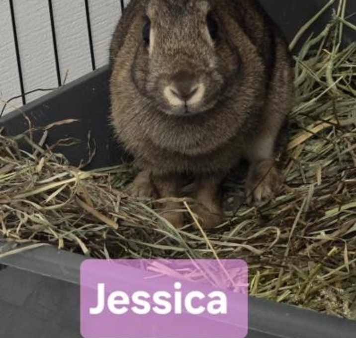 Photo of Jessica