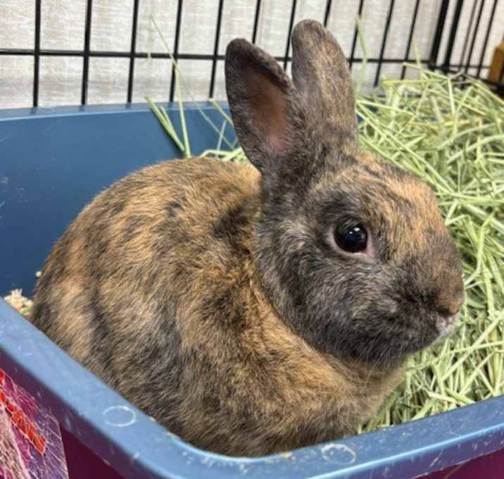 Photo of Buster