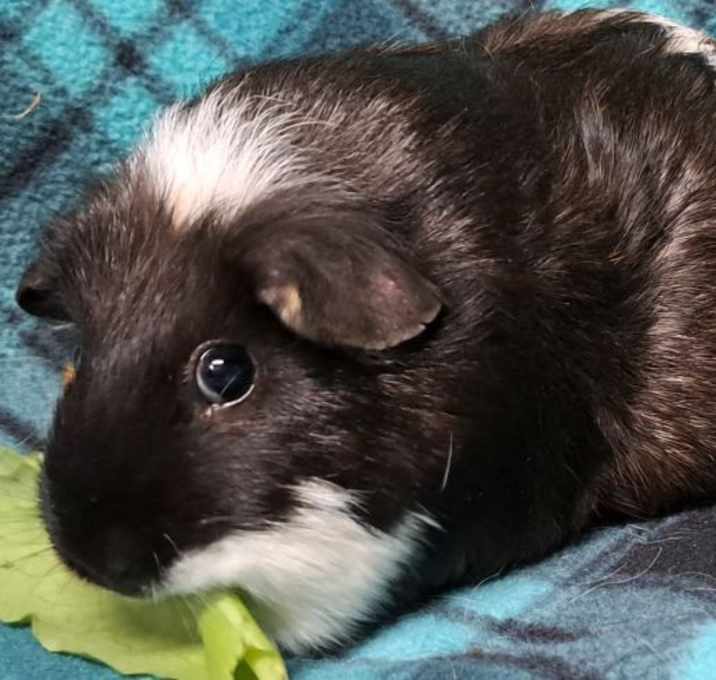 Photo of Ella