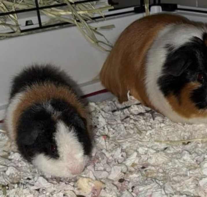 Photo of George & Teddy