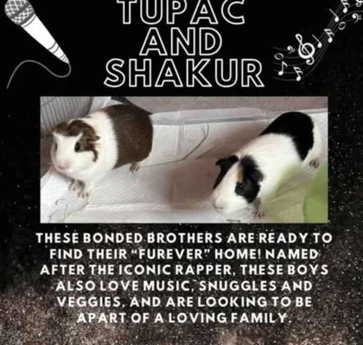 Photo of Tupac & Shakur
