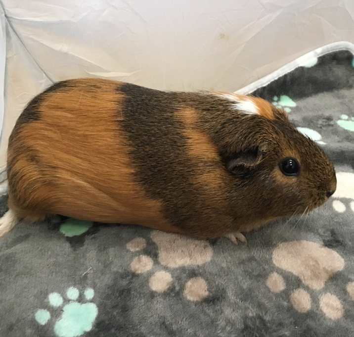 Photo of Mollie B