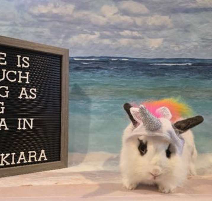 Photo of Kiara
