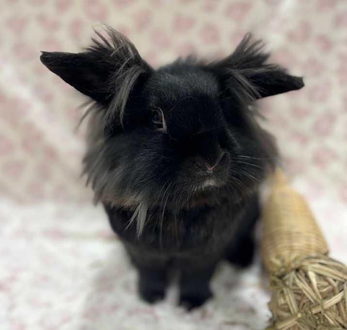 Photo of Fabio