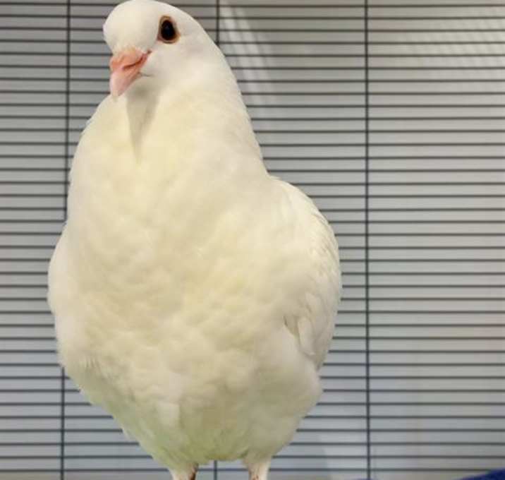 Photo of MINTY