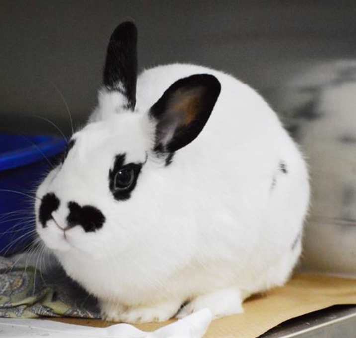 Photo of FRITO