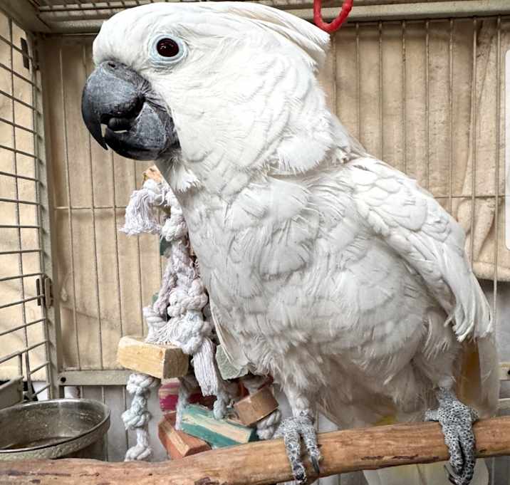 Photo of Penelope